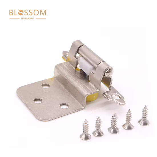 American Type Concealed Cabinet Kitchen Hinge for Face Frame Door